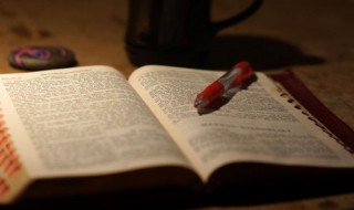 三寸鸟七寸嘴的意思（三寸鸟七寸嘴打一动物）