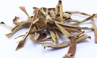 怎样自制芦荟干茶（干芦荟茶怎么做）