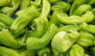 小青辣椒怎么做好吃? 小青辣椒怎么做好吃视频