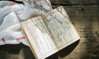 细细是什么意思（和风细细是什么意思）