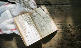 雅人清致的意思 雅人清致的意思?