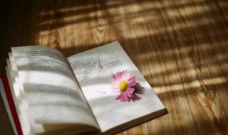 套路得人心的前一句 套路得人心的前一句话