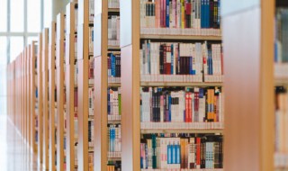 爱意随风起什么意思（女生说爱意随风起什么意思）