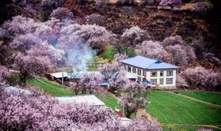 四月底是什么时候 四月底什么时候适合搬家