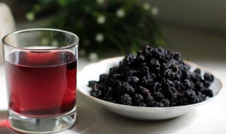 桑葚干和什么搭配泡水（桑葚干和什么搭配泡水喝最养肝）
