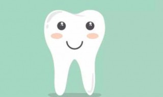 有关牙齿的宝宝睡前故事 幼儿牙齿故事绘本