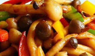 红绿双菇（黄绿红菇）