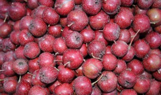 水晶山楂果(水晶山楂果冻)