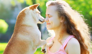 训练爱犬的方法 训练爱犬的方法和技巧