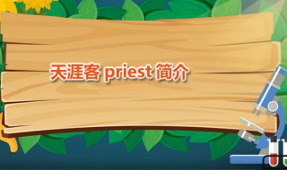 天涯客priest简介（天涯客priest全文阅读谁攻）