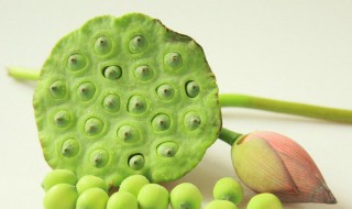 莲蓬怎么吃可以生吃吗（莲蓬生吃的功效与作用）