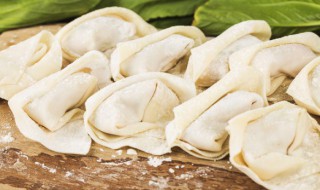 猪肉圆白菜馄饨 猪肉白菜馄饨馅的做法大全