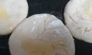 青萝卜猪肉馅馅饼（青萝卜猪肉馅馅饼的做法）