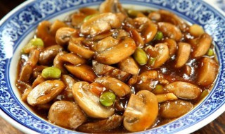 口蘑烧菱角(口蘑豆角的做法大全)