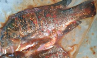 腌鱼放冰箱的保鲜方法 腌鱼放冰箱的保鲜方法窍门