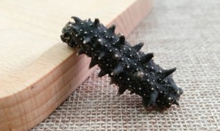 肉末烧海参 肉末烧海参 鲁菜年销量