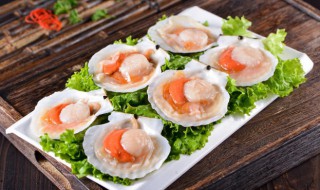 蒜蓉扇贝粉丝蒸（蒸扇贝粉丝蒜蓉做法）