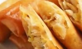 鸡肉芝士春卷的做法（鸡肉芝士春卷的做法视频）