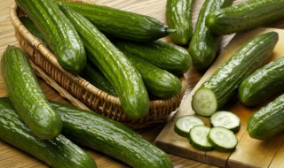 响油黄瓜的做法（油黄瓜的做法 怎么做油黄瓜）
