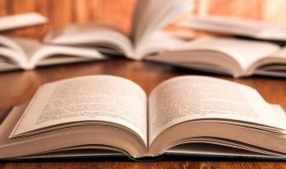 反驳的意思是什么? 不容反驳的意思是什么