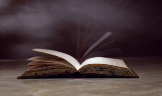 向阳花木易为春什么意思 向阳花木易为春什么意思?下一句是什么?出自哪首诗?