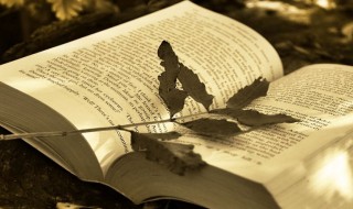 投缘是什么意思 投缘和有缘的意思一样吗