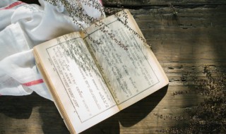 隔山打牛是什么意思(隔山打牛是什么意思视频)