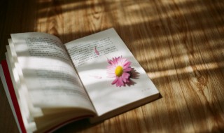 老莱娱亲的故事概括（老莱娱亲的故事概括50字）