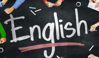 bookcase什么意思（bookcase是什么意思怎么读）