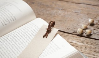 西游记44回概括(西游记44回概括100字)