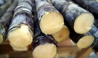 甘蔗削皮后隔夜能吃吗 甘蔗削皮后隔夜能吃吗能放多久