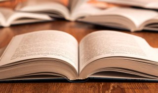 数一数二成语解释（数一数二是成语吗造句）