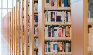 龙阙是什么意思（龙阙百度百科）