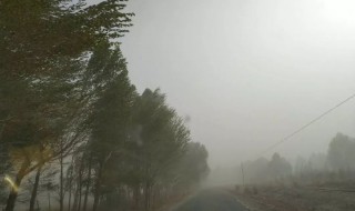 梦见刮风下雨什么预兆（梦见刮风下雨什么预兆还梦见狗狗）