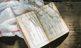 春的组词 春的组词是什么