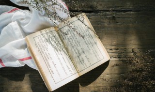 千山高复低前面一句 千山高复低全诗