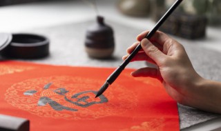 各种字体的特点以及区分（各种字体特点,区别）