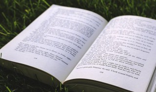 快速是什么意思（快速是啥意思）