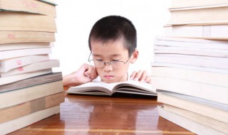 星星用英语怎么说 猩猩用英语怎么说