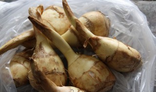 茨菰怎么读（茨菰怎么读组词）