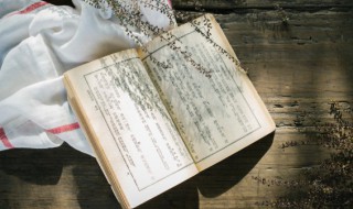 红楼梦的体裁是什么(红楼梦的体裁是什么这本书被称为封建社会的什么)