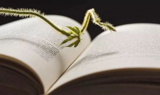 干瞪眼什么意思（干瞪眼儿什么意思）