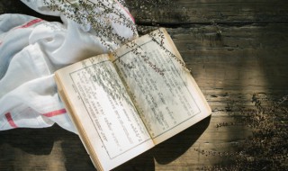 铁网是什么意思 铁的网络意思