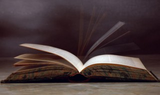 礼仪之邦的意思（礼仪之邦的意思解释）