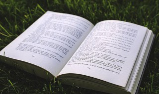 洪福齐天的意思 洪福齐天是指什么