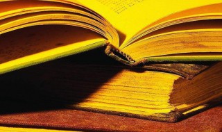 娥皇女英的意思（娥皇女英的意思周娥皇）