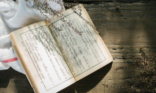 一个萝卜一个坑意思（一个萝卜一个坑意思下一句）