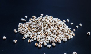 薏仁粥 薏仁粥的功效和作用