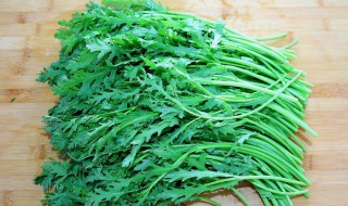 凉拌大叶茼蒿怎么做（凉拌大叶茼蒿的做法）