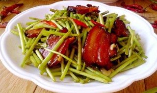 腊肉炒藜蒿（腊肉炒藜蒿高清图片）